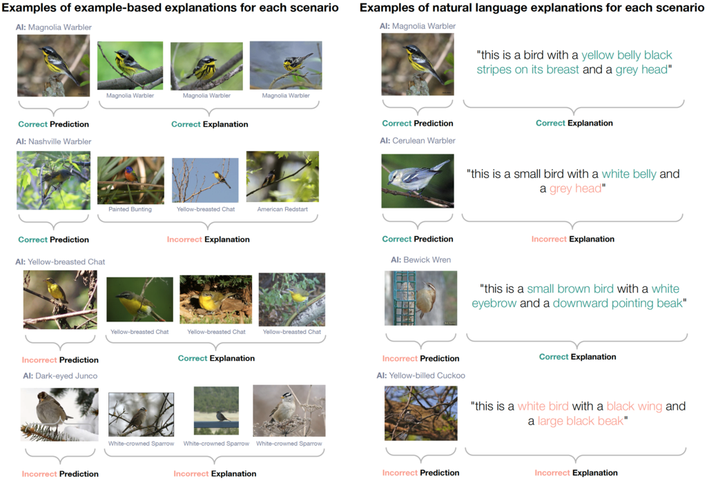 Birds and captions shown as examples of explanations; multiple small photos of warblers and other small birds.